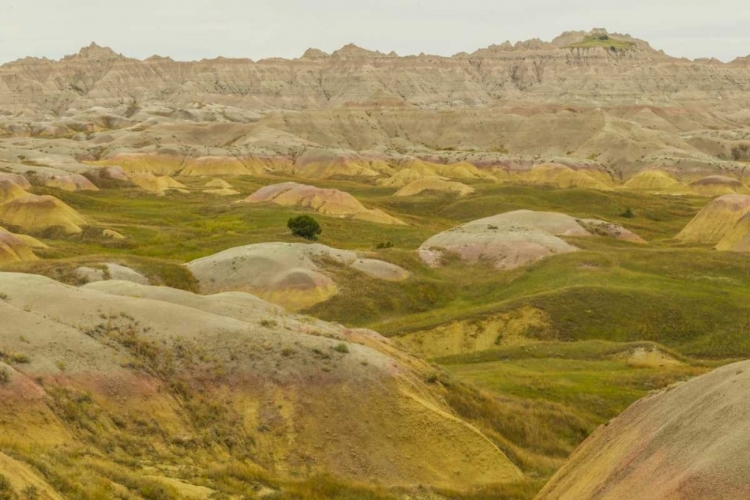 Picture of SOUTH DAKOTA, BADLANDS NP WILDERNESS LANDSCAPE