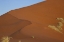 Picture of NAMIBIA, NAMIB DESERT, GRASSES ON SAND DUNE