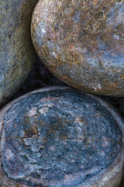 Picture of SOUTH BUCKBALLBAAI CLUSTER OF ROUNDED ROCKS