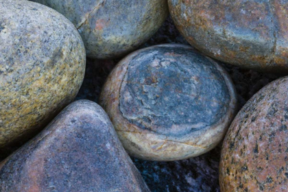 Picture of SOUTH BUCKBALLBAAI CLUSTER OF ROUNDED ROCKS