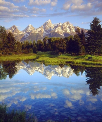 Picture of WYOMING GRAND TETONS REFLECT IN THE SNAKE RIVER