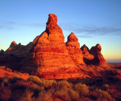 Picture of AZ, PARIA CANYON, SANDSTONE FORMATIONS AT SUNSET