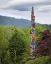 Picture of USA, WASHINGTON STATE, JAMESTOWN TOTEM ART PR