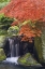 Picture of OREGON, PORTLAND WATERFALL AND JAPANESE MAPLE