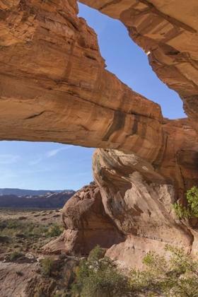 Picture of UTAH, GLEN CANYON NRA CLOSE-UP OF JACKS ARCH