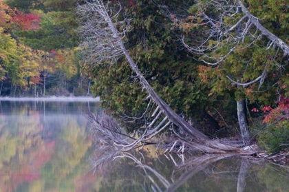 Picture of MI, PETES LAKE REFLECTS AUTUMN FOLIAGE