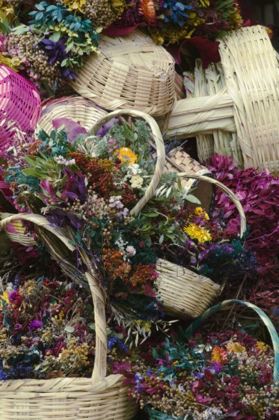 Picture of MEXICO, DRIED FLOWERS AT OUTDOOR MARKET