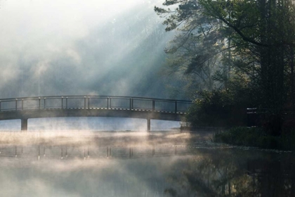 Picture of GEORGIA SUNLIT MIST ON BRIDGE OVER LAKE