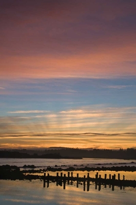 Picture of OR, BANDON SUNRISE GOD RAYS OVER HARBOR