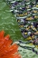 Picture of FLOWERS AND LEAVES IN PATTERN UNDER GLASS