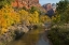 Picture of UT, ZION NP ZION CANYON AND VIRGIN RIVER