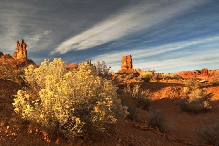 Picture of UT, VALLEY OF THE GODS ERODED FORMATIONS