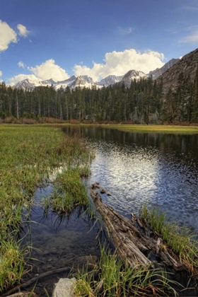 Picture of CALIFORNIA, SIERRA NEVADA WEIR POND LANDSCAPE