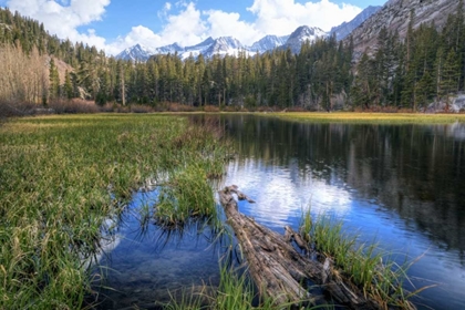 Picture of CALIFORNIA, SIERRA NEVADA WEIR POND LANDSCAPE