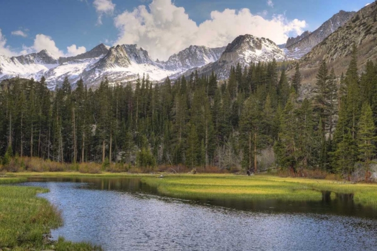 Picture of CALIFORNIA, SIERRA NEVADA WEIR POND LANDSCAPE