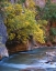 Picture of UTAH, ZION NP THE VIRGIN RIVER IN THE NARROWS