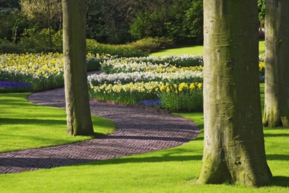 Picture of HOLLAND, LISSE CURVING PATH THROUGH A GARDENS