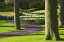 Picture of HOLLAND, LISSE CURVING PATH THROUGH A GARDENS