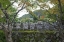 Picture of JAPAN, KYOTO THOUSANDS OF BUDDHIST STATUETTES