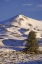 Picture of CA, MAMMOTH LAKES LANDSCAPE OF GLASS MOUNTAIN