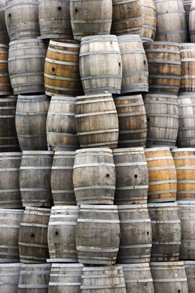 Picture of CA, SAN LUIS OBISPO CO STACKS OF WINE BARRELS