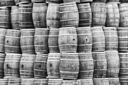 Picture of CA, SAN LUIS OBISPO CO, STACK OF WINE BARRELS