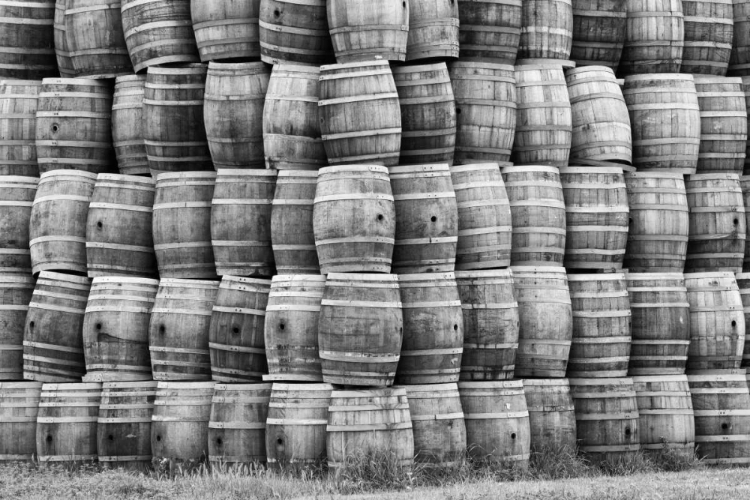 Picture of CA, SAN LUIS OBISPO CO, STACK OF WINE BARRELS