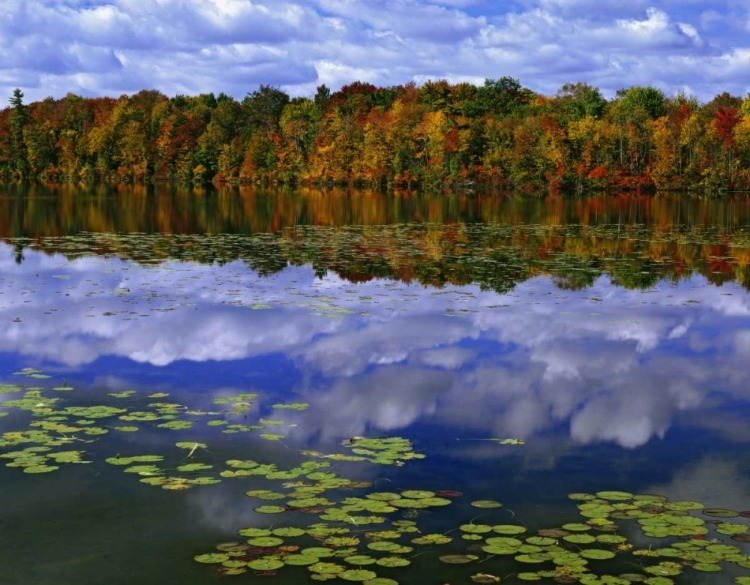 Picture of CANADA, ONTARIO AUTUMN AROUND PARK HAVEN LAKE