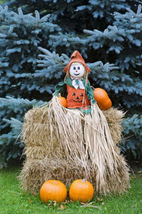 Picture of WISCONSIN AUTUMN HAYSTACK AND HALLOWEEN DECOR
