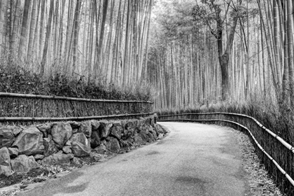 Picture of JAPAN, KYOTO WALKWAY THROUGH ARASHIYAMA GROVE
