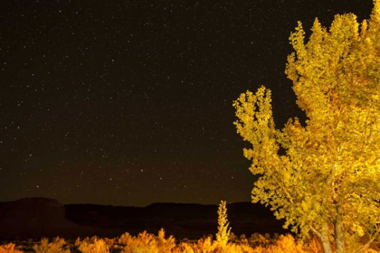 Picture of USA, UTAH STARY NIGHT SKY IN AUTUMN