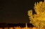 Picture of USA, UTAH STARY NIGHT SKY IN AUTUMN
