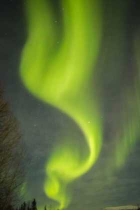 Picture of USA, ALASKA AURORA BOREALIS PATTERN