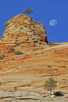 Picture of UT, ZION NP MOONSET ON ROCK FORMATION