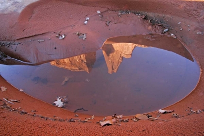 Picture of UT, ARCHES NP RAIN PUDDLE REFLECTIONS