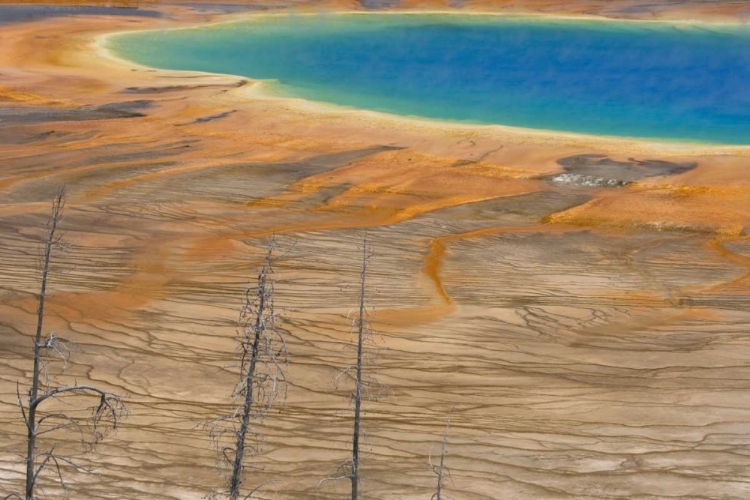 Picture of WY, YELLOWSTONE COLORFUL GRAND PRISMATIC SPRING