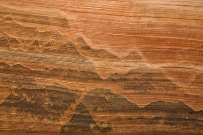 Picture of USA, UTAH DESERT VARNISH STAIN ON SANDSTONE WALL