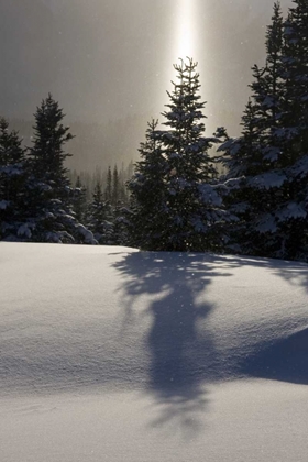 Picture of CANADA, BC, SMITHERS WINTER SNOW LANDSCAPE