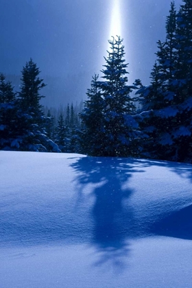 Picture of CANADA, BC, SMITHERS WINTER SNOW LANDSCAPE