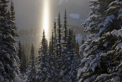 Picture of CANADA, BC, SMITHERS WINTER SNOW LANDSCAPE