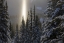 Picture of CANADA, BC, SMITHERS WINTER SNOW LANDSCAPE