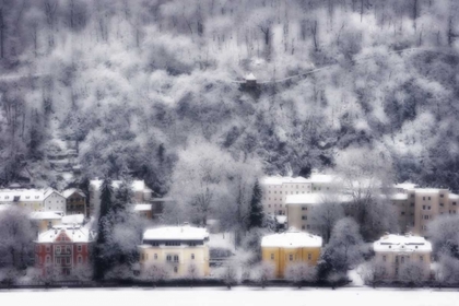 Picture of AUSTRIA, SALZBURG RESIDENCES AND SNOWY TREES