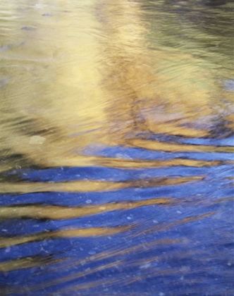 Picture of CA, SIERRA NEVADA, AUTUMN REFLECTS IN RUSH CREEK