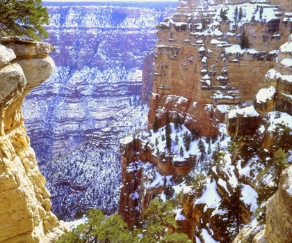 Picture of AZ, GRAND CANYON, WINTER SNOW ON ROCK FORMATIONS