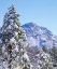 Picture of CA, CUYAMACA RANCHO SP TREES AND STONEWALL PEAK