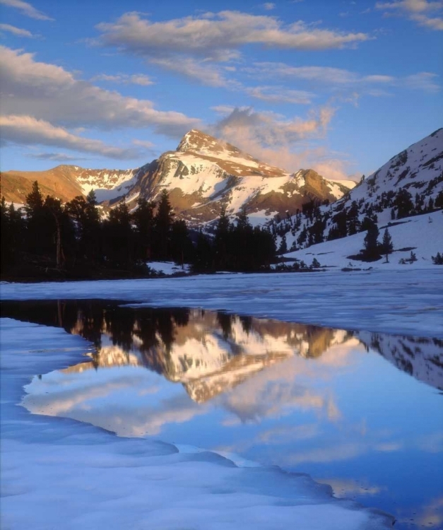 Picture of CA, SIERRA NEVADA DANA PEAK ABOVE A FROZEN LAKE