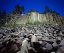 Picture of CA, SIERRA NEVADA FORMATIONS OF DEVILS POSTPILE