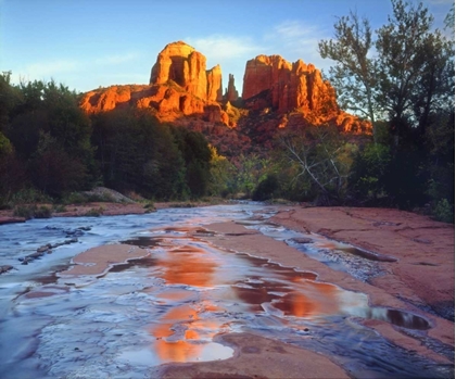 Picture of AZ, SEDONA CATHEDRAL ROCK REFLECTS IN OAK CREEK