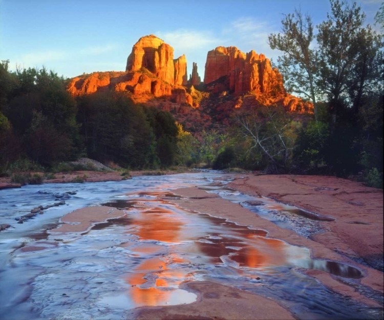 Picture of AZ, SEDONA CATHEDRAL ROCK REFLECTS IN OAK CREEK