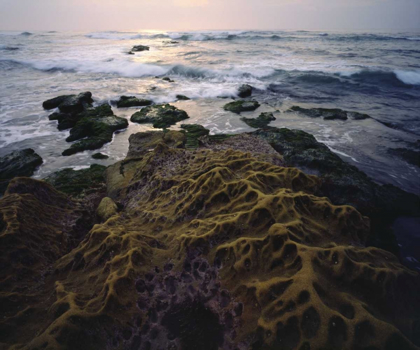 Picture of CA, SAN DIEGO, SANDSTONE FORMATIONS ON THE COAST